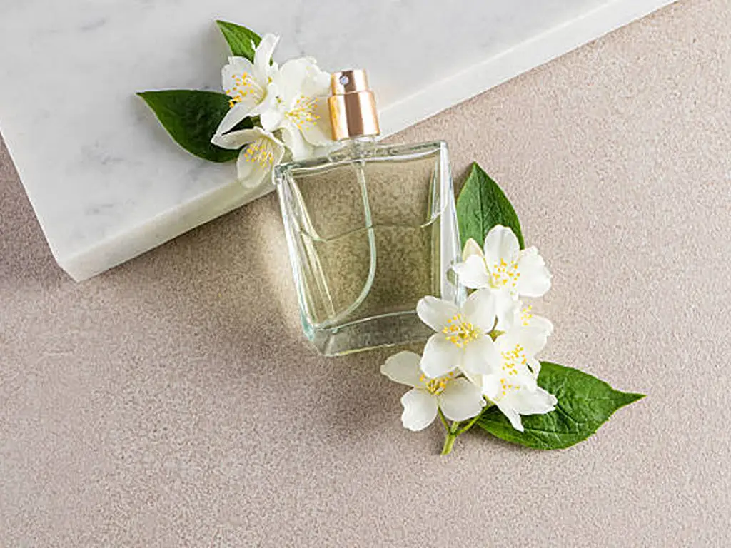 Parts of a Perfume Bottle 1
